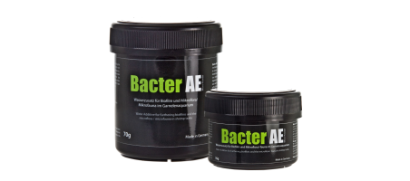 Bacter AE GlasGarten