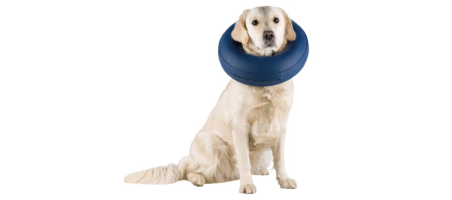 Collier de protection, gonflable Trixie