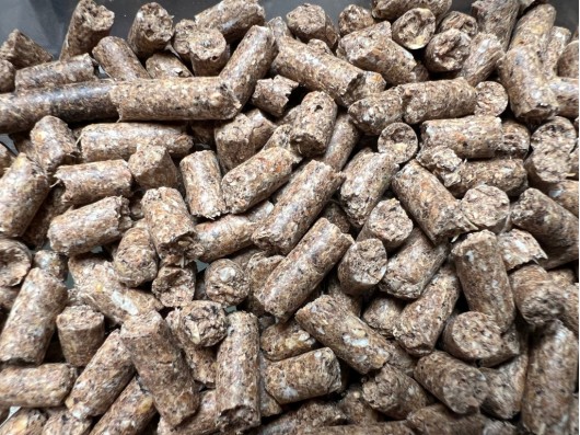 Shrimp Food Basic + (nourritures spécial pour crevettes)