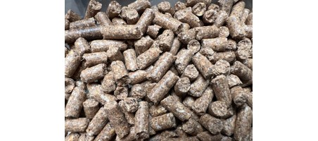 Shrimp Food Basic + (nourritures spécial pour crevettes)