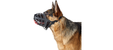 Muselière Albury Hunter