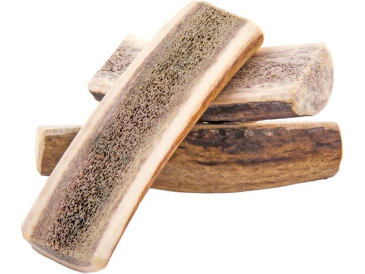 Bois de cerf à mâcher 4dogs