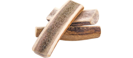 Bois de cerf à mâcher 4dogs