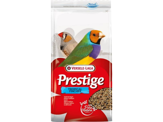 Prestige Oiseaux Exotiques