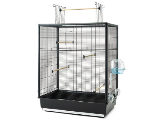 Primo 60 Open Empire