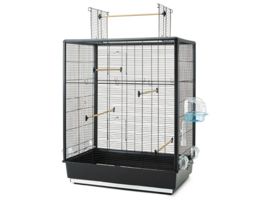 Primo 60 Open Empire