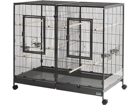 Tasmania 120 Oiseaux