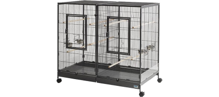 Tasmania 120 Oiseaux