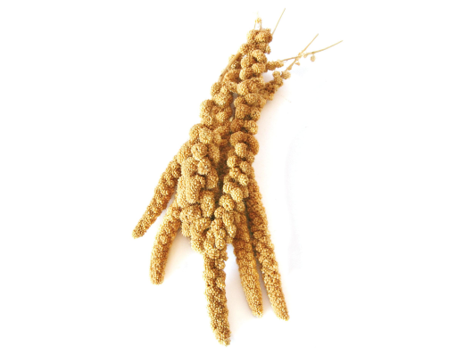 Grappe de millet Swisspet