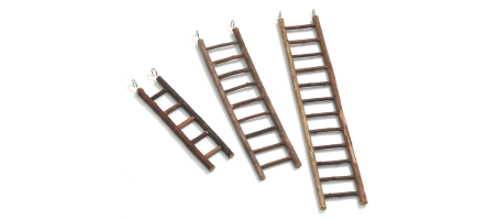 Echelles pour perruches en bois naturel Swisspet