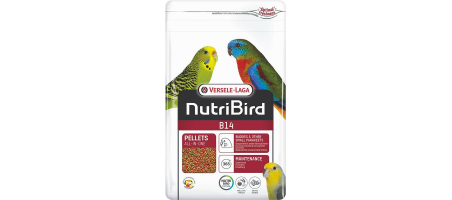 NutriBird B14, entretien Perruches