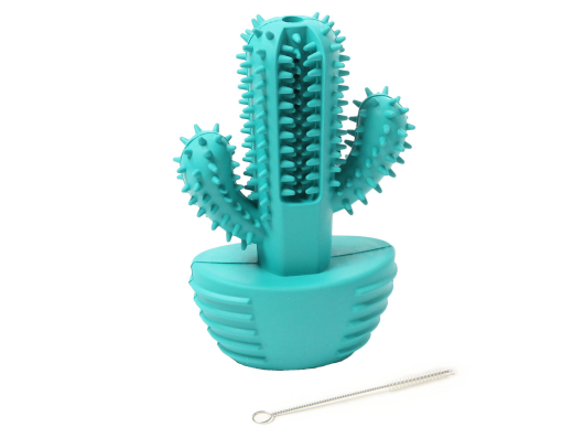 Teeth & Play Cacto Swisspet