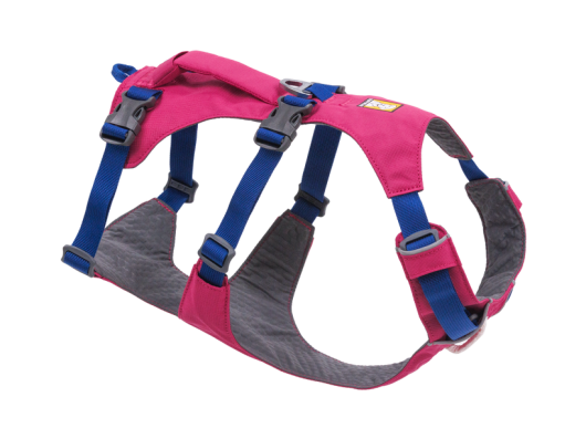 Harnais pour chien Flagline avec poignée