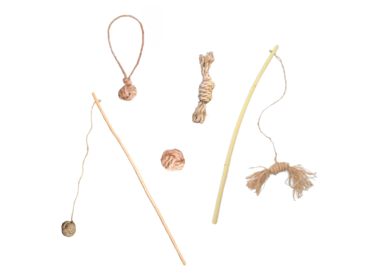 Pack Chat ANINESTECO