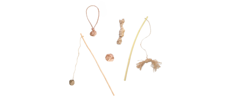 Pack Chat ANINESTECO