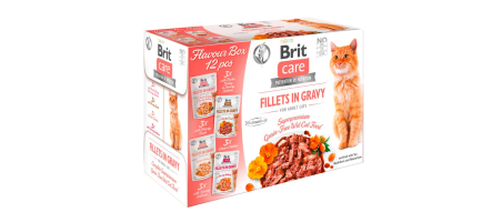 Fel Adult in Gravy Flavour box (4 variétés) 12x 85 Brit Care