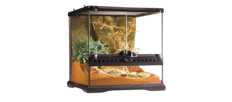 Exo Terra terrarium en verre Mini