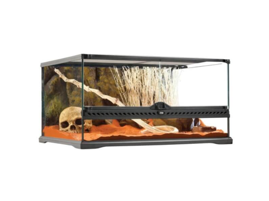 Exo Terra Terrarium en verre Medium