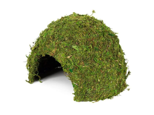 Hobby Jungle Cave vert S et M