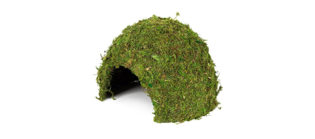 Hobby Jungle Cave vert S et M