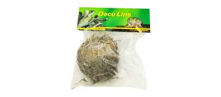 Lucky Reptile "Rose von Jericho"