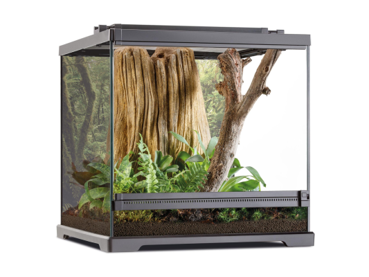 Exo Terra Terrarium Dart Frog