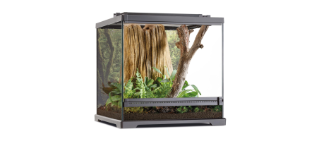 Exo Terra Terrarium Dart Frog