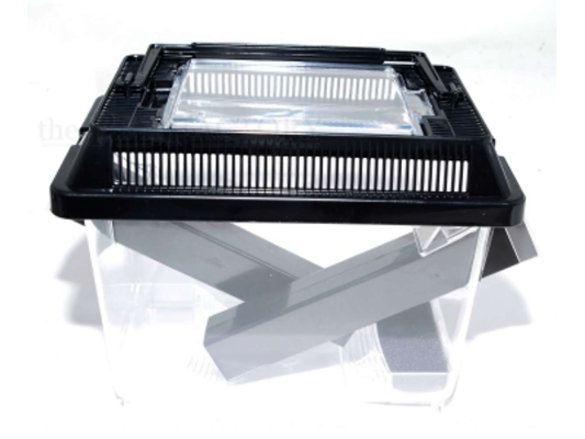 Cricketbox / Boite grillons