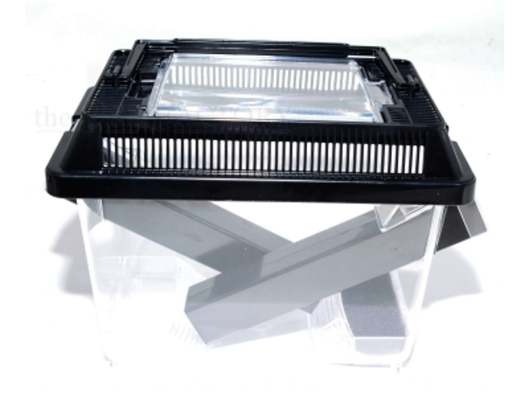 Cricketbox / Boite grillons