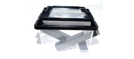 Cricketbox / Boite grillons