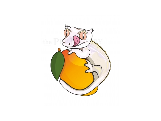 Mango Madness BLUE RIVER DIETS