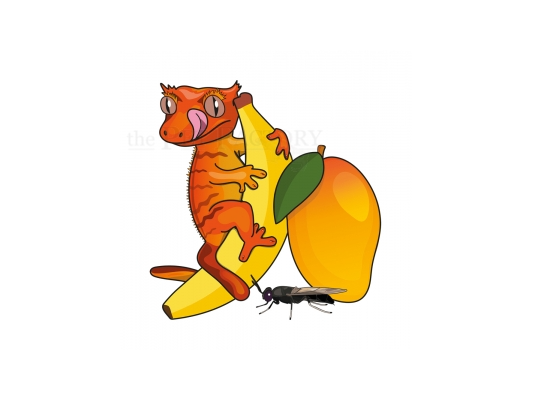 Fruits et Insectes BLUE...