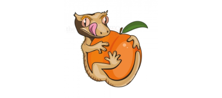 Pêche Paradiese BLUE RIVER DIETS