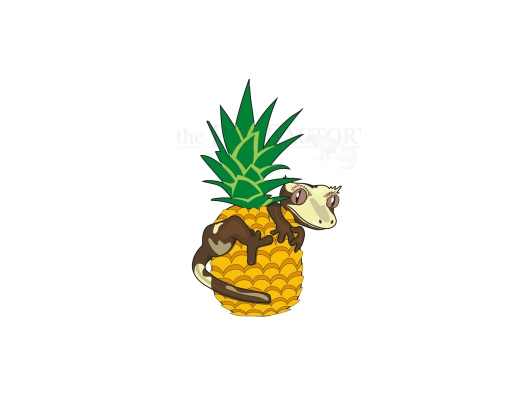 Ananas Crush BLUE RIVER DIETS - Flash