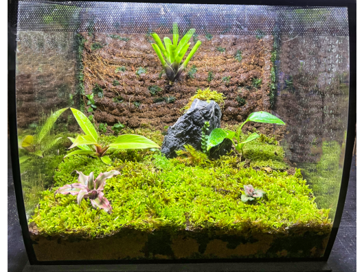Terrariums végétaux Fluval N°3