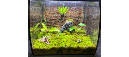 Terrariums végétaux Fluval N°3