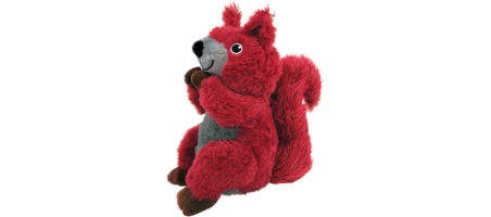 Shakers Passports Red Squirrel KONG