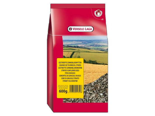 Graines de Tournesols...