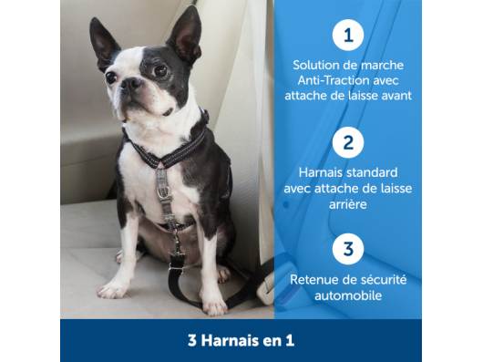 Action - Harnais anti-traction et retenue de voiture PetSafe - Flash