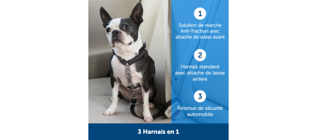Action - Harnais anti-traction et retenue de voiture PetSafe - Flash