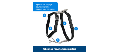 Action - Harnais anti-traction et retenue de voiture PetSafe - Flash
