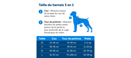 Action - Harnais anti-traction et retenue de voiture PetSafe - Flash