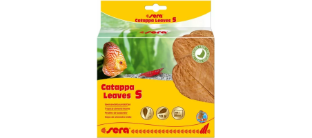 Catappa Feuilles S 10 - 15 cm (10 St) Sera