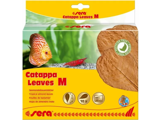Catappa Feuilles M 16 - 20 cm (10 pièces) Sera