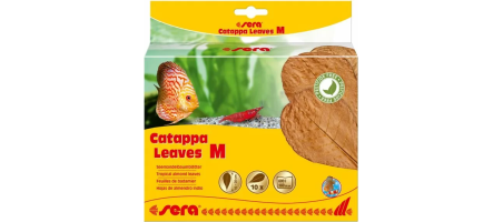Catappa Feuilles M 16 - 20 cm (10 pièces) Sera