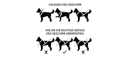 HARNAIS LUDUS ROUGE Canicross / CaniVTT KYFLIE