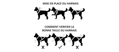 HARNAIS LUDUS ROUGE Canicross / CaniVTT KYFLIE