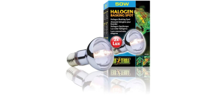 Exo Terra Halogen Basking Spot ampoule à large spectre écoénergétique