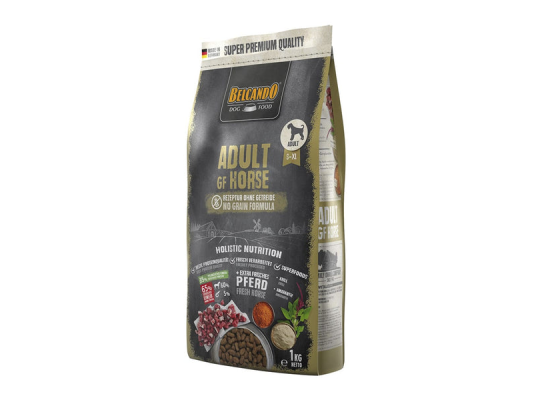 ADULT GF HORSE BELCANDO