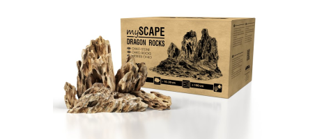 mySCAPE DRAGON ROCKS Arka 5kg ou 10kg